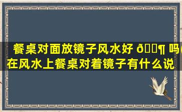 餐桌对面放镜子风水好 🐶 吗(在风水上餐桌对着镜子有什么说 🌳 法)